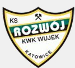 Rozwój Katowice