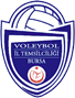 Bursa Voleybol