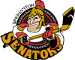 Binghamton Senators