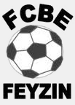Feyzin (FRA)