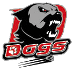 Cholet HC