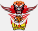 Shandong Lions