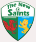 The New Saints FC