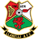 Llanelli Town AFC (WAL)