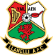 Llanelli Town AFC