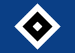 Hamburger SV (GER)