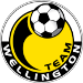 Team Wellington