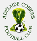 Adelaide Cobras