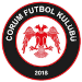 Çorum FK