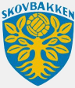 IK Skovbakken