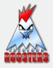 Iserlohn Roosters