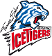 Nürnberg Ice Tigers (Ger)