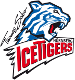 Nürnberg Ice Tigers (GER)