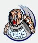 Straubing Tigers (GER)