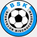 SK Bischofshofen