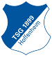 TSG 1899 Hoffenheim (4)