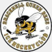 Bracknell Queen Bees