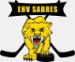 EHV Sabres Vienna