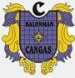 BM Cangas