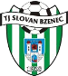 TJ Slovan Bzenec