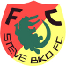 Steve Biko FC