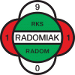 RKS Radomiak Radom (14)