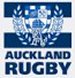 Auckland Rugby