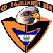 CD Aguiluchos USA