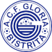 CF Gloria Bistrita 1922