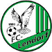 FC Lendorf