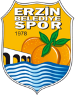 Erzinspor