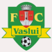 FC Vaslui