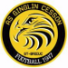 Ginglin Cesson Saint-Brieuc (FRA)