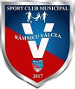 SCM Râmnicu Vâlcea