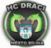 HC Draci Bílina