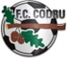 FC Codru Lozova