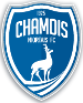 Chamois Niortais FC