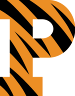 Princeton Tigers