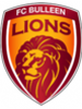 FC Bulleen Lions