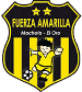 Fuerza Amarilla SC