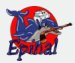 Epinal HC