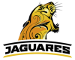 Jaguares