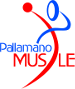 Pallamano Musile