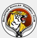 Balestier Khalsa FC