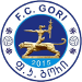 FC Gori