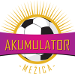 NK Akumulator 2015 (SLO)
