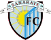 Deportivo Sanarate FC