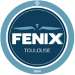 FENIX Toulouse