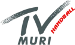 TV Muri Handball