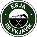 Esja UMFK Reykjavík (ISL)